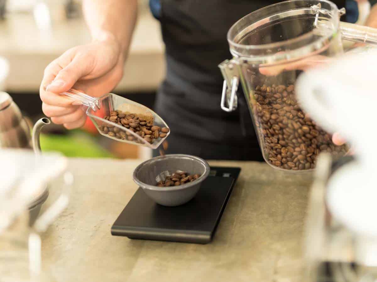 barista que es civeta