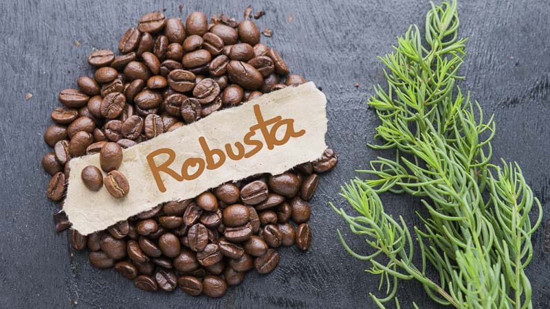 Cafe Robusta