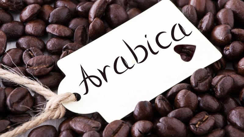 cafe arabica