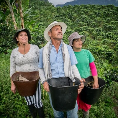 cafe de especialidad