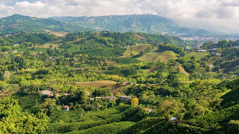 cafes colombianos-12